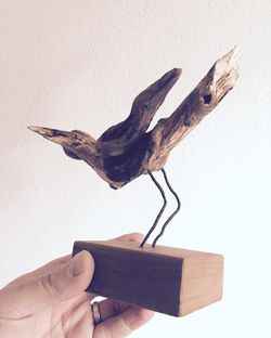 14570428_1244645935586759_6713739222688992976_n