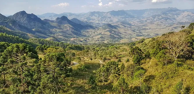 4bd889_8cc33bffe7214a1fa85e6967067b8335~