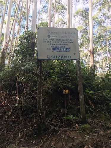 4bd889_cc14632b75c441779b583ab19f023a90~