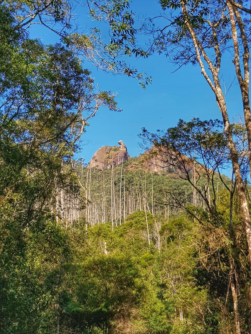 Pedra do Sapo