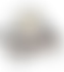 Calling All Human Capital Talent – We Need Your Help !