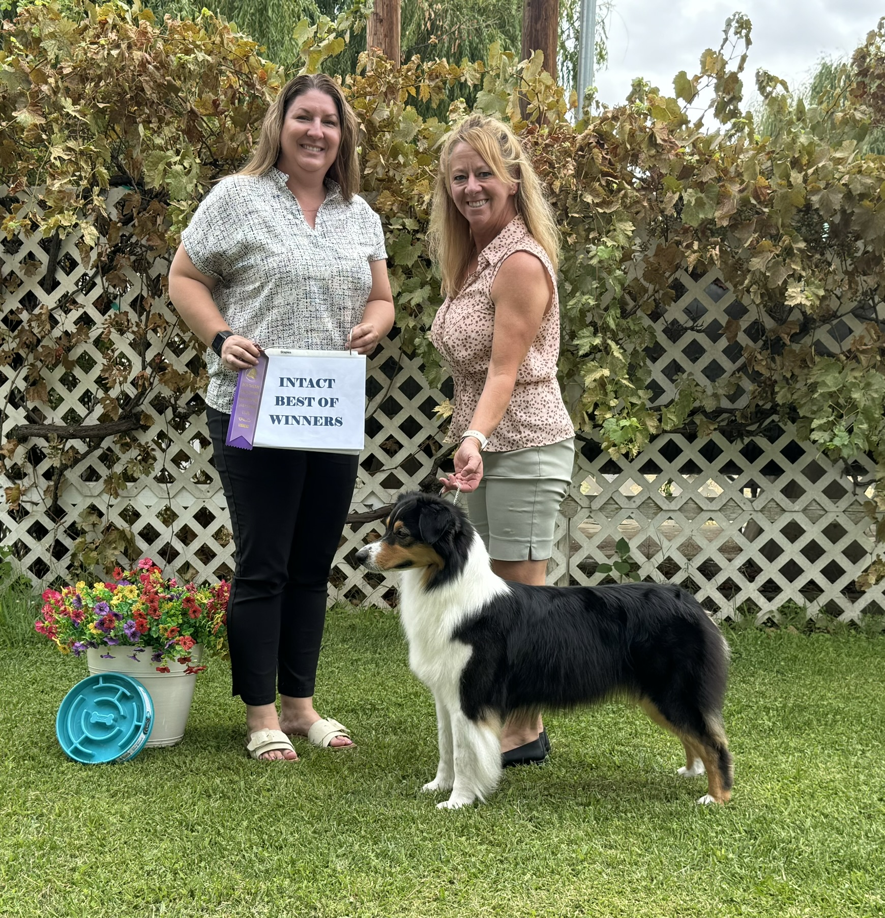 ELK GROVE WIN 4.JPEG