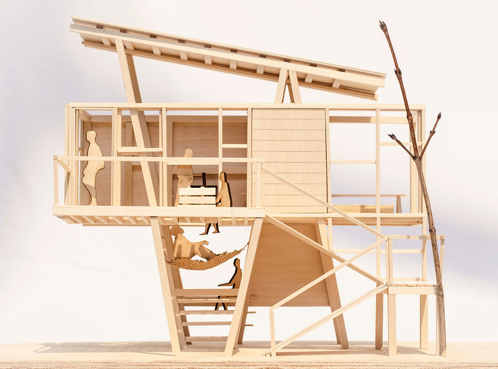 CONFABULATION - FOREST HOUSE