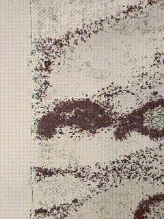 lv_0_20240928190908.gif