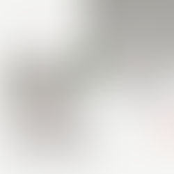 Ｋiln Ａrt web 限定情報　Monthly new item