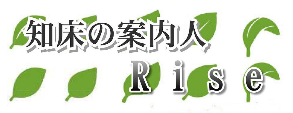 ライズロゴ