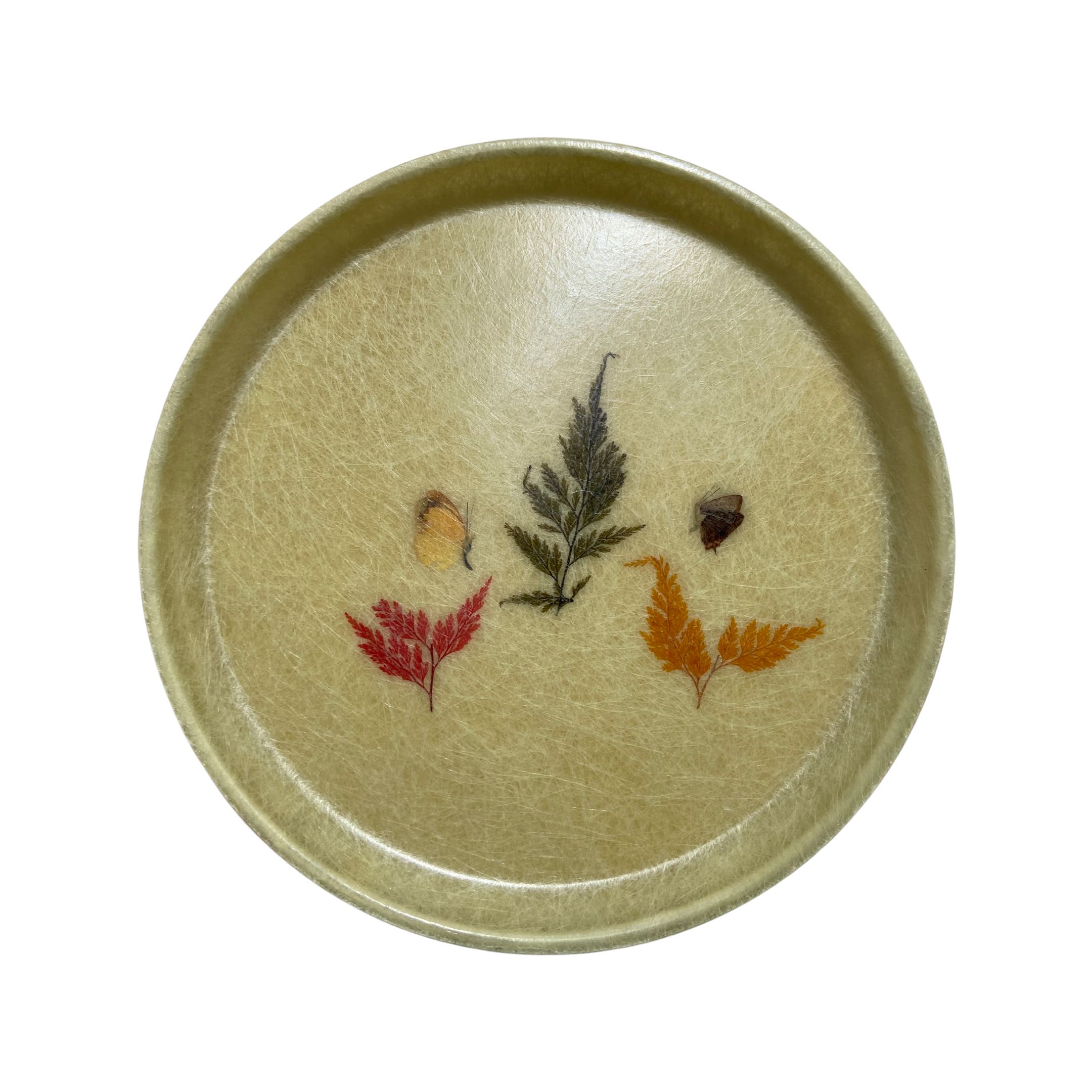 Butterfly Decor Tray