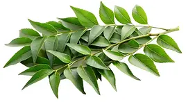 curry leaves.webp