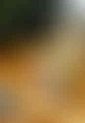 DSC00495