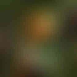 Portada_MALLKI_FINAL2