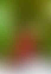 DSC00451