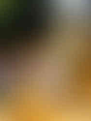 DSC00498
