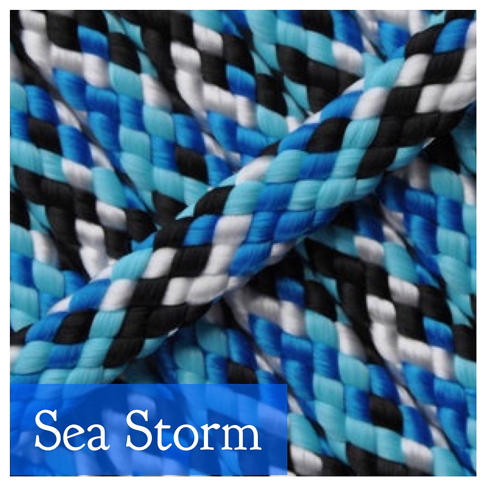 Sea Storm
