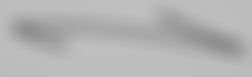 המלצת העשיריה להצבעת הריבון