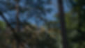 C0097.00_01_25_05.Still023.PNG