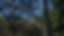 C0097.00_01_25_05.Still023.PNG
