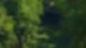 C0097.00_01_12_02.Still028.PNG