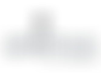Grupo Animus