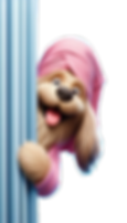 Designer (20).png
