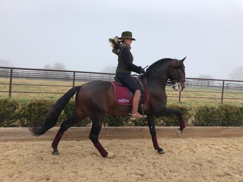 Lyric_Dressage_xerifino_5.jpeg