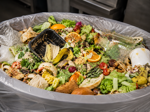 food in trash