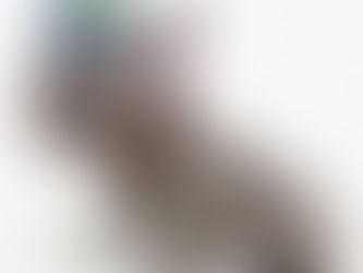 The Berry Best for Your Buddy: Exploring the Benefits of Blueberries for Dogs