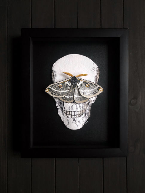 Dimensional contemporary paper art of a human skull with a metallic silver-detailed moth over its eyes, mounted in a custom all-black shadowbox frame, and titled "The Mask"