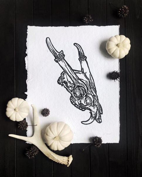 Linocut print of a vampire deer skull, printed on handmade recycled paper
