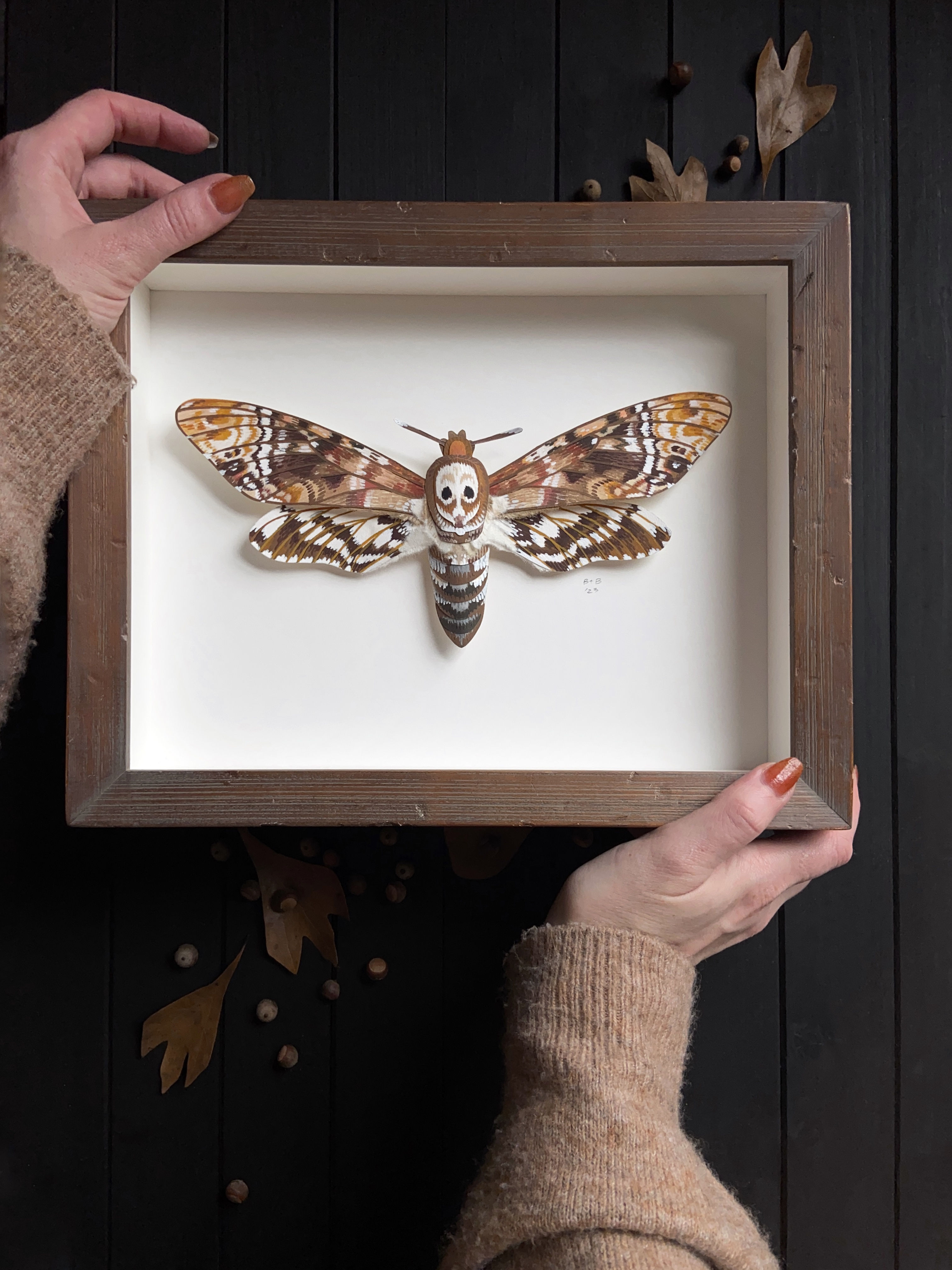 Pale Death Paper Entomology Original