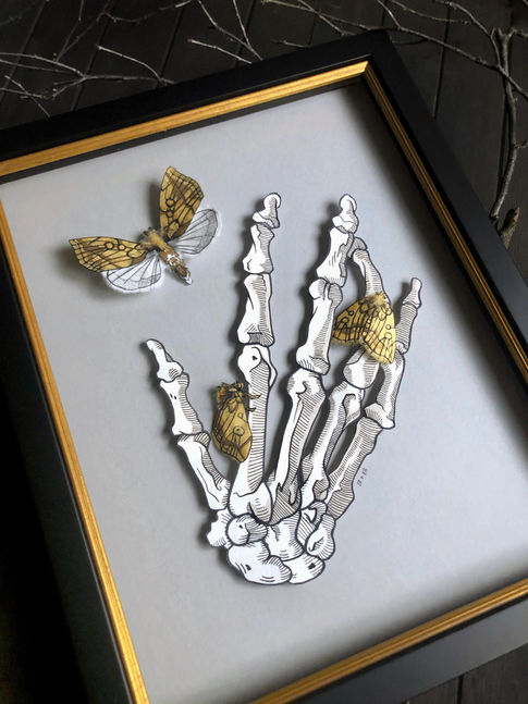 Dimensional contemporary paper art of a human skeleton hand with three metallic golden moths on it, framed in custom shadowbox frame, and titled "Fool's Gold"