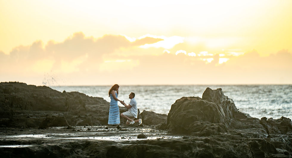 Proposal at Halona Beach Cove