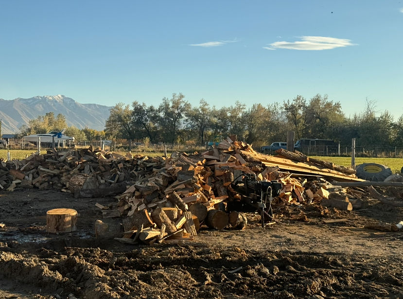 Wood_edited.jpg
