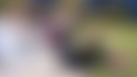 Canine Companions and Collar Scholars Raise Service Dog