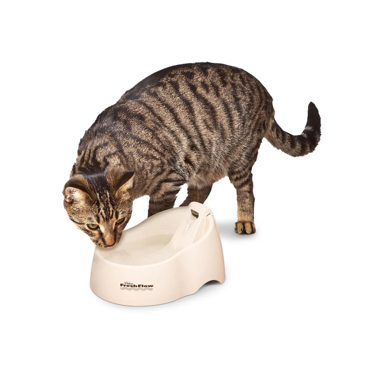 Petmate Deluxe Fresh Flow Fountain For Cats, Size: 50oz