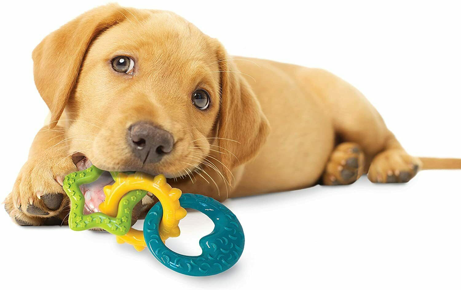 Nylabone Puppy Chew Teething Rings Chew Toy, 6 inches x 2.9 inches x 3 inches