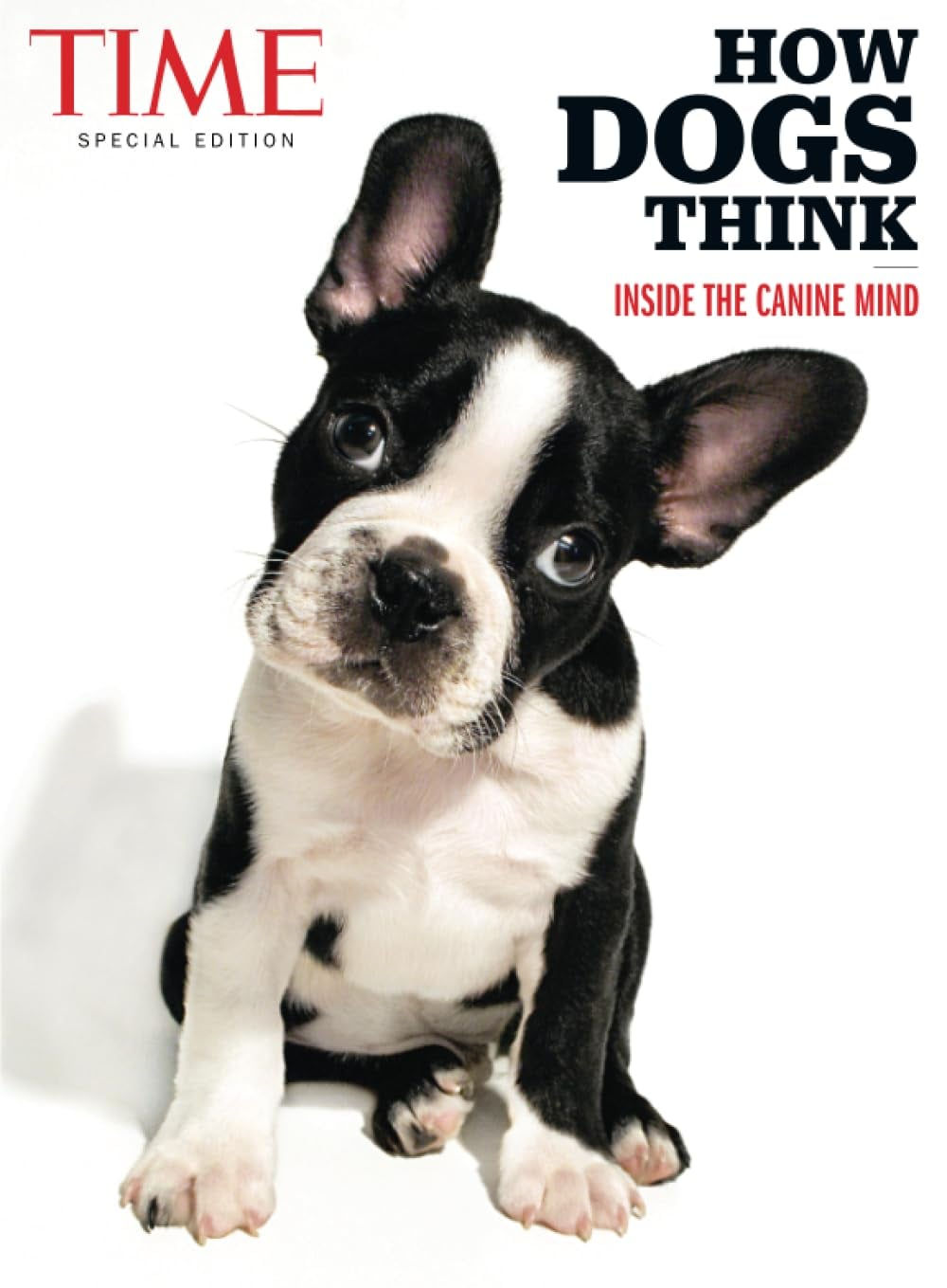 Time Magazine "How Dogs Think" 2025