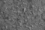 IMG_9114_edited.jpg