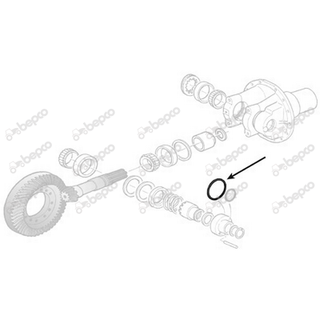 Miniatura: O-Ring