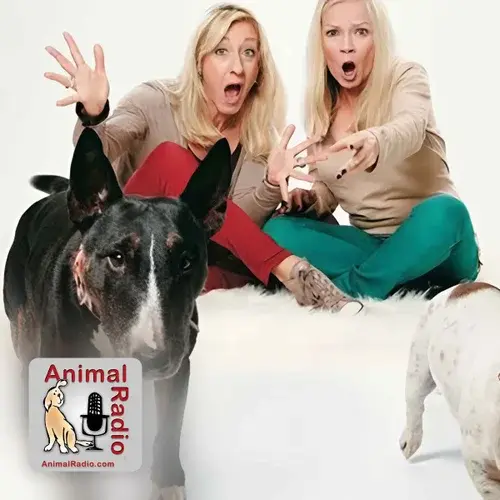 Barking Blondes and Chickens for Rent