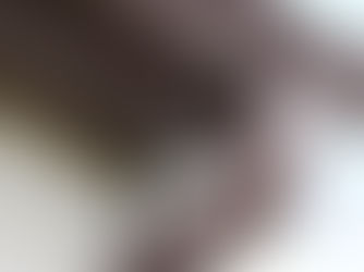 Shur Flo gutter guards installed on Pittsburgh home showing aluminum micro-perforated design protecting gutters from leaves