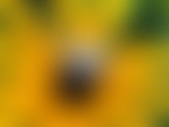 Brian Nicklaus Jewelry, custom jewelry, jewelry, personalized jewelry, custom accessories, craftsmanship, trusted local jeweler