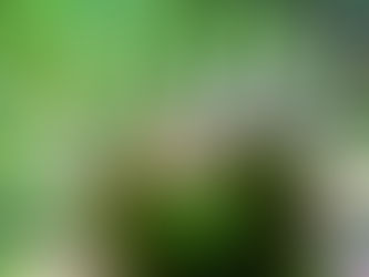 Custom engagement ring cost consultation showing diamond selection and design options at Brian Nicklaus Jewelry in Western PA