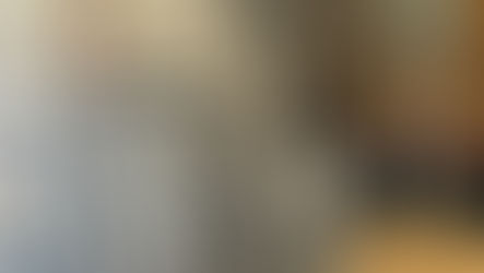 Werner professional extension ladder positioned against residential roof showing proper setup angle and safety features for Western PA roofing contractors