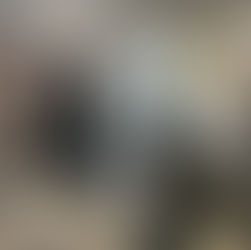 cleaning, remodeling, painting, post construction, cleaning services, painting services, remodeling contractor, spotless solutions