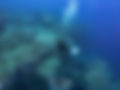 202410 Galapagos Darwin-18.jpg