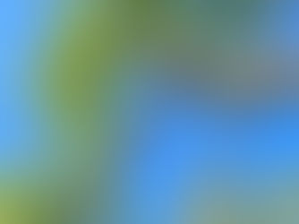 tree trimming, tree pruning, tree removal, stump grinding, brinko, tree service