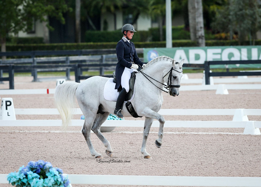 Ba wellington piaffe at x 2017