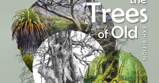 Tales from the Trees of Old