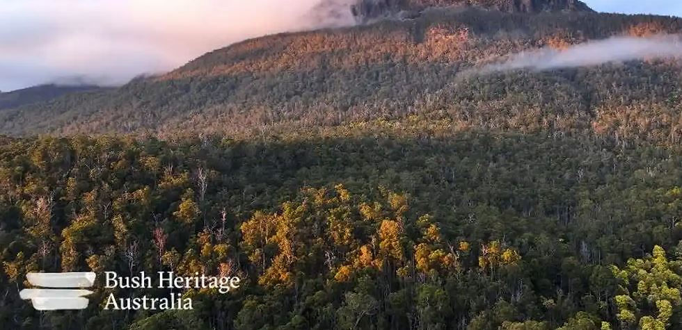 Liffey River and Oura Oura Reserves Guided Visit