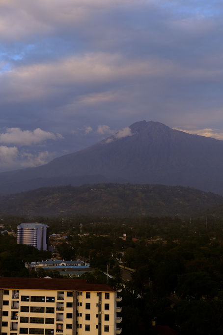 A Journey Back to the Roots